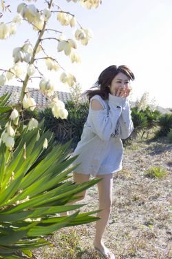 似水流年二虎小说免费阅读
