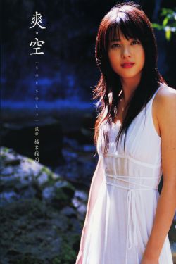 曹随风