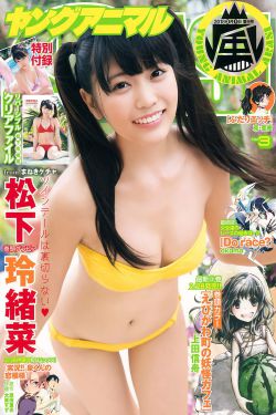 新金梅瓶全集