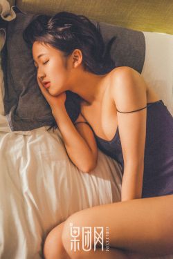 星舰残骸